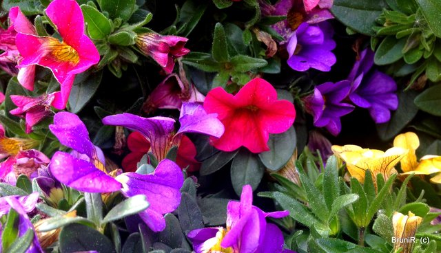 Kunterbunt ging es hier rund!