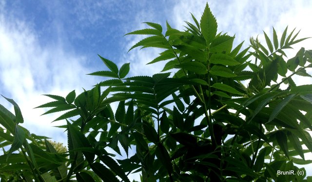 Der Himmel über Bochum... Toll!!! ♥