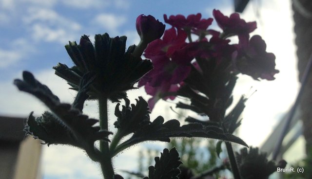 Mal nach oben geschaut...