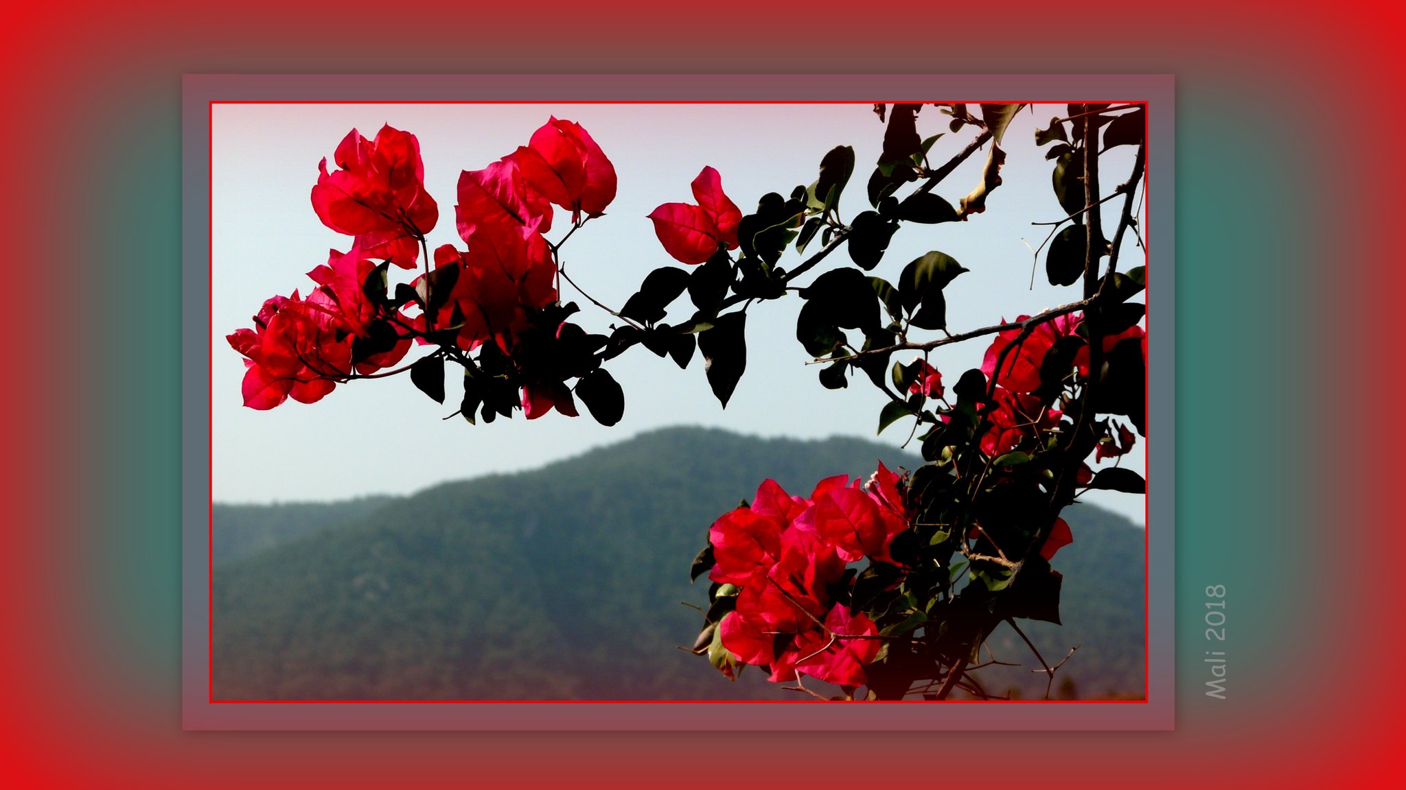 flora und fauna türkei Düsseldorf