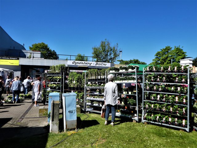 eine große Auswahl an Blumen