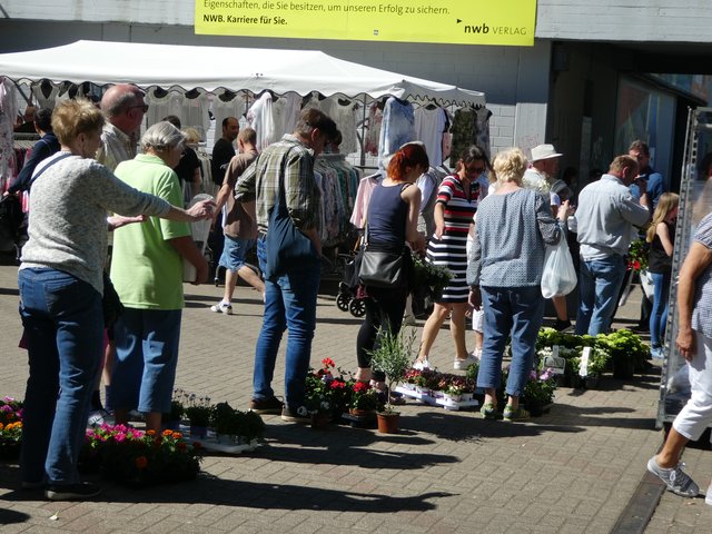 eine lange Schlange an der Blumenkasse