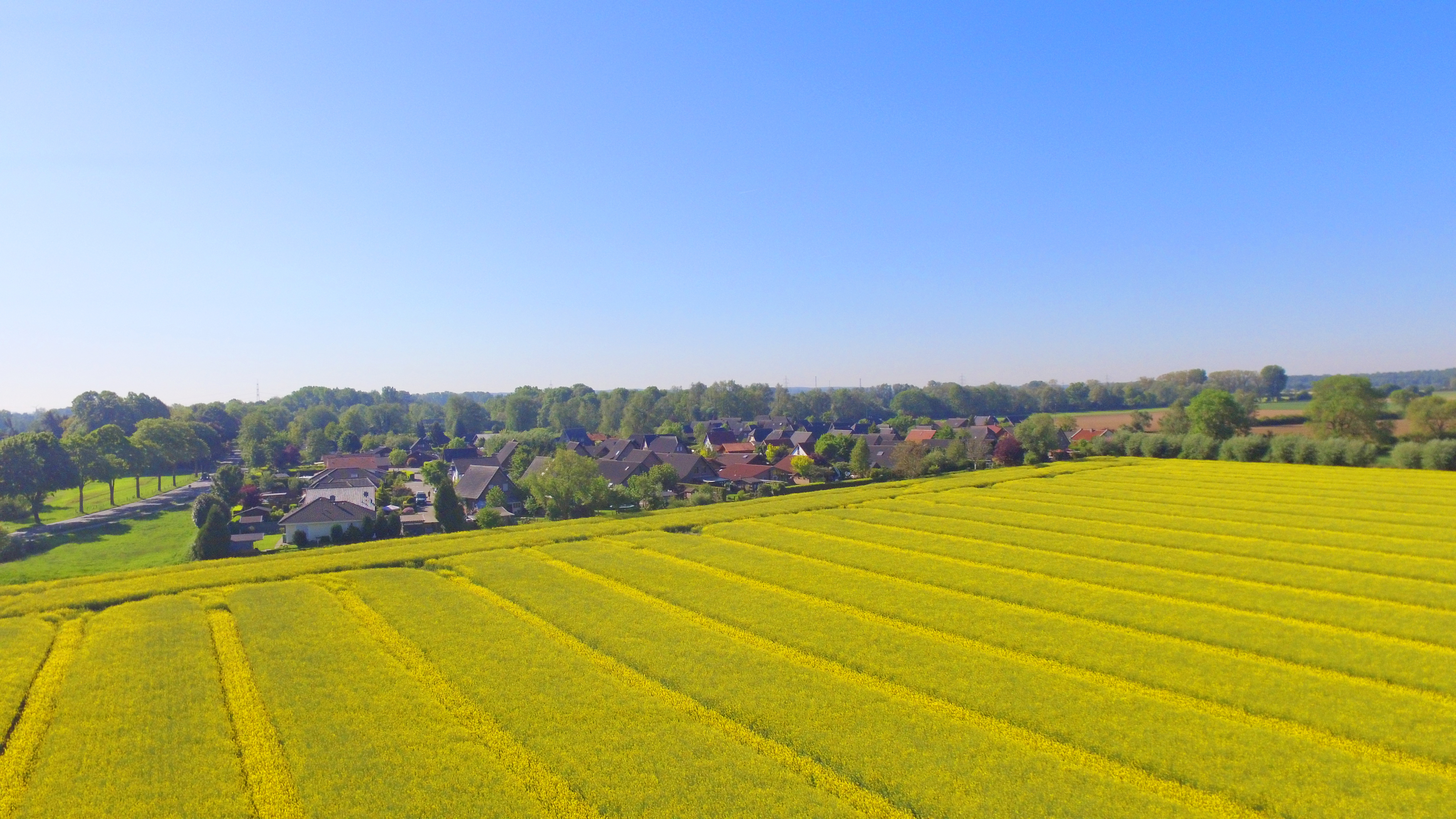 So sieht das betroffene Gebiet aus der Luft aus. Foto: Tim Tripp