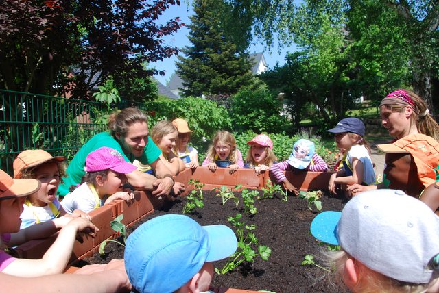 Ab ins Beet "Gemüsebeete für Kids" motiviert KitaKinder in Witten zum