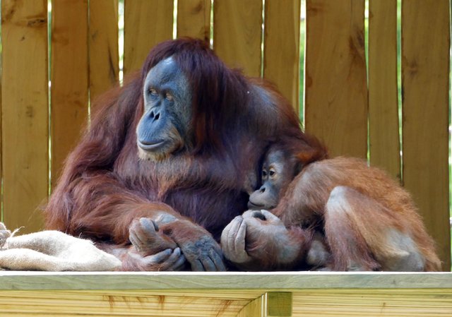 Foto: Andreas Klinke