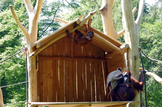 Foto: Andreas Klinke