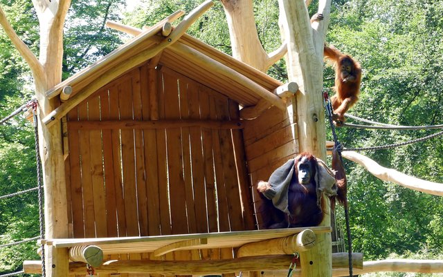 Foto: Andreas Klinke