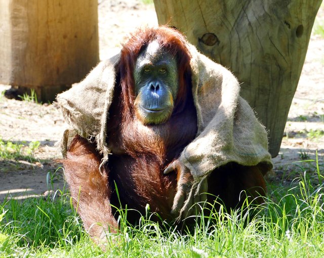 Foto: Andreas Klinke