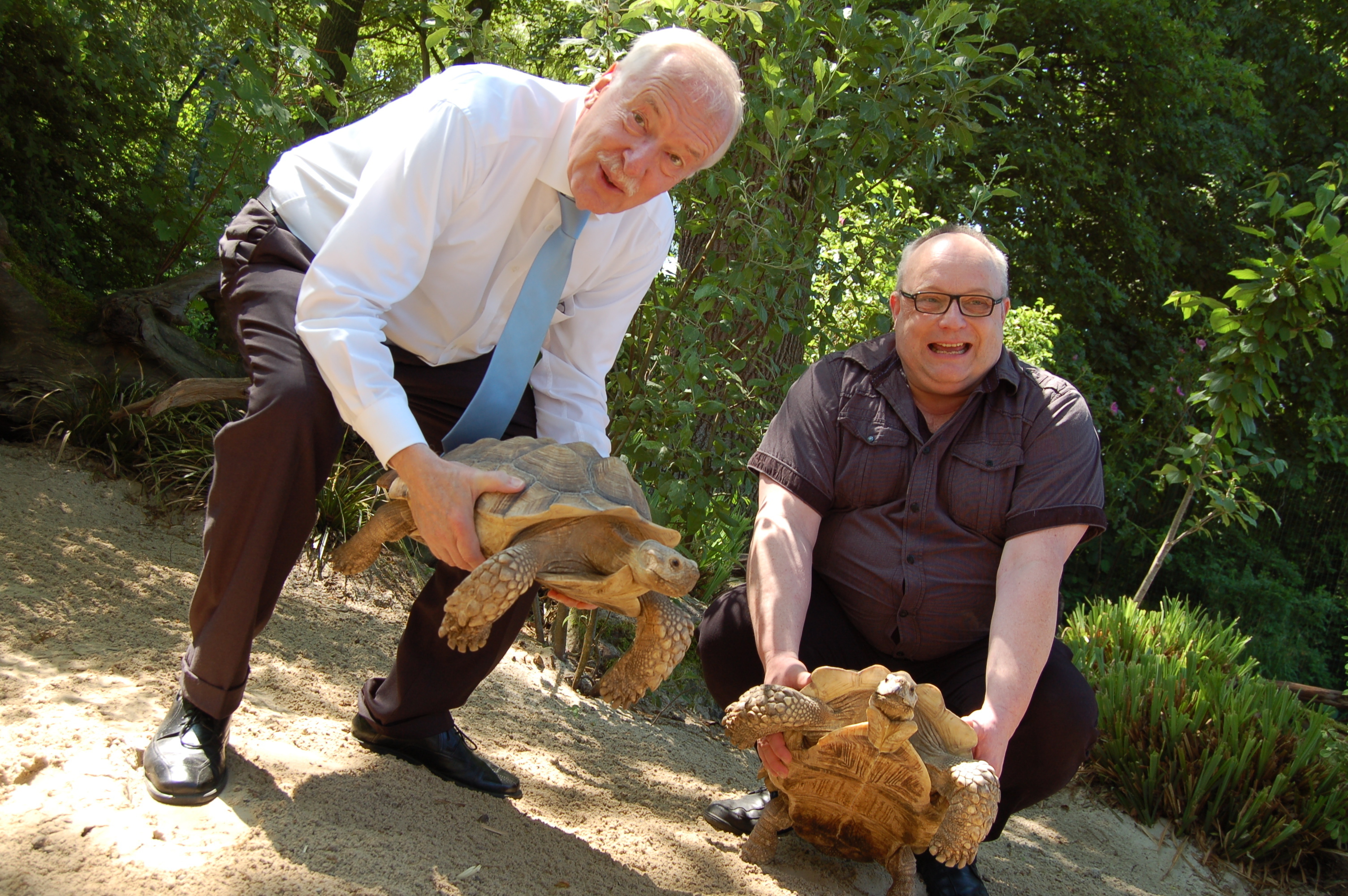 Bürgermeister Manfred Sauer (l.) und Zoodirektor Dr. Frank Brandstätter begrüßten die "kleinen" riesenschildkröten im Dortmunder Zoo.