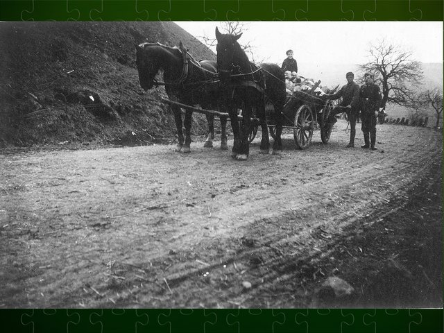 Anno 1943, eine Fuhre Brennholz zum Heizen. Auf dem Wagen bin ich, mein Onkel in der Mitte, mein Vater recht außen.