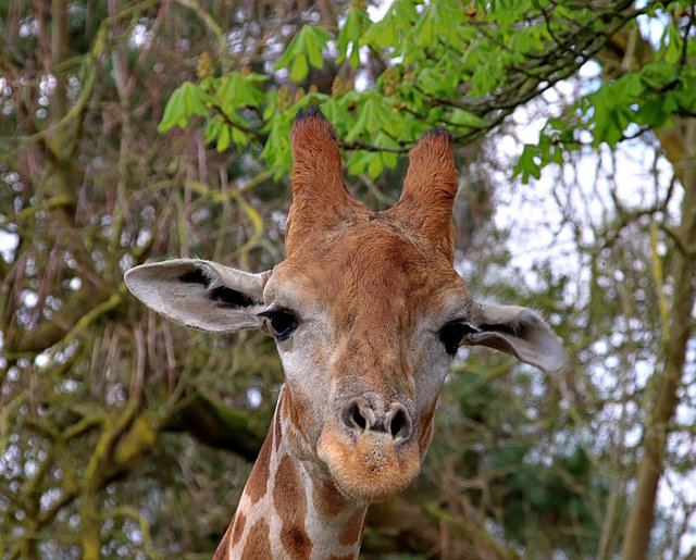 War schön mit euch .........