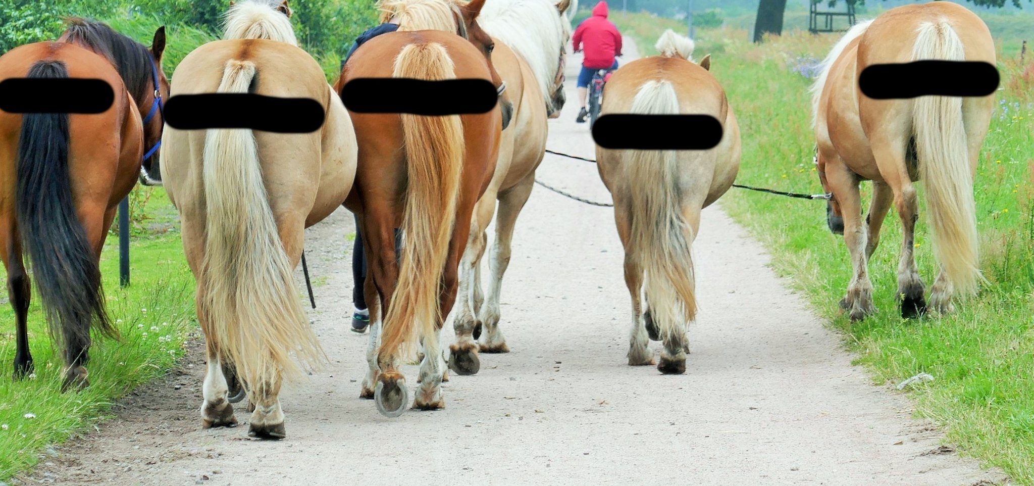 vorsicht ist die mutter der porzellankiste