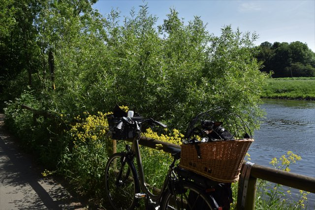 Mit dem Rad und Hundchen an der Ruhr entlag.