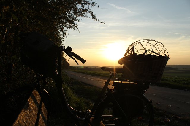 Mit Rad zum Sonnenuntergang.