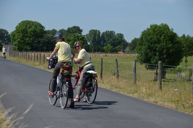 auf dem Deich Richtung Störche