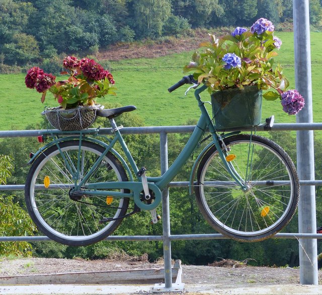 Ein blumiges Fahrrad!