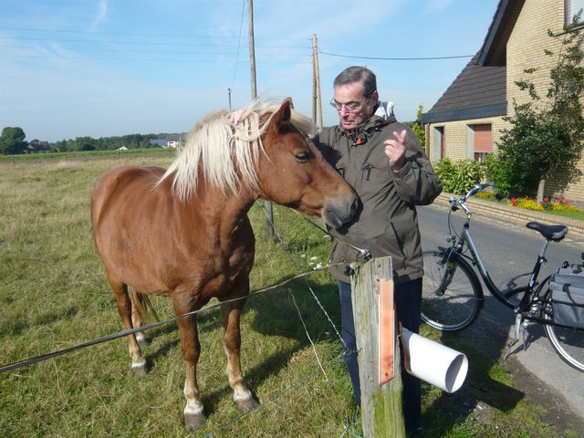 Wer die Wahl hat, hat die Qual : ,, RADELN  ODER  REITEN ,, ???