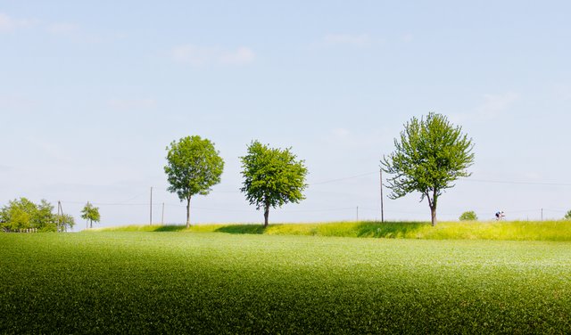 Mein Land - Mein Rad - Mein Schweiß