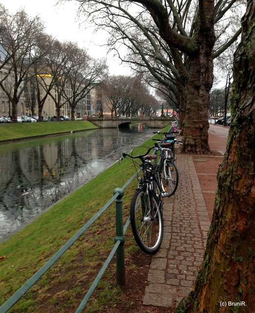 Fahrräder auf der Königsallee in Düsseldorf