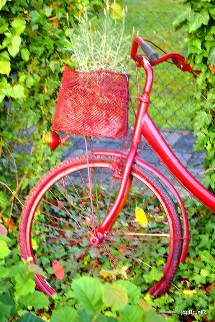 EINS MIT DER NATUR - Bei Freunden im Garten - Hamminkeln