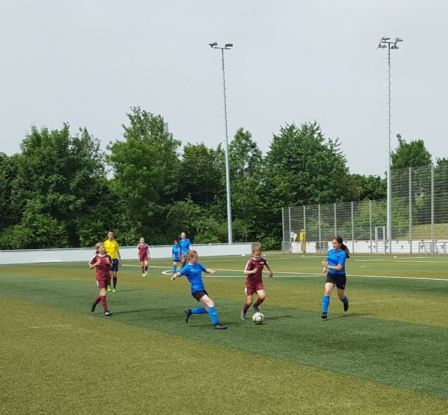 Und wieder ist Greta durchgekommen.      Foto: Henschke
