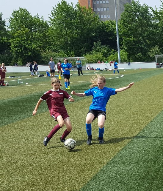 Mara ist eher am Ball.     Foto: Henschke