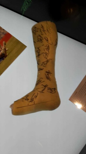 Michael Ballack …. Trophäe