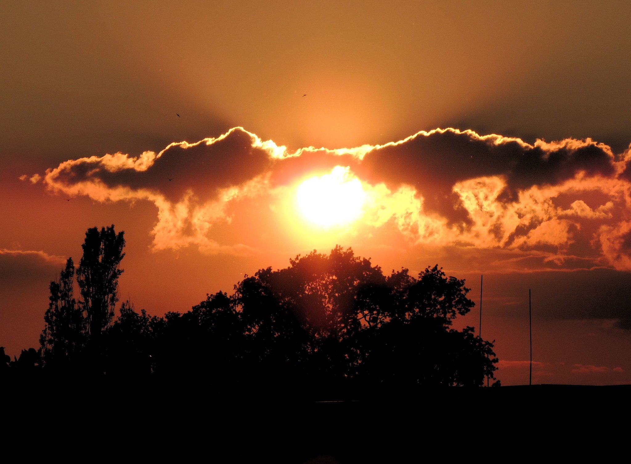 Recklinghausen Sommersonnenwende Recklinghausen