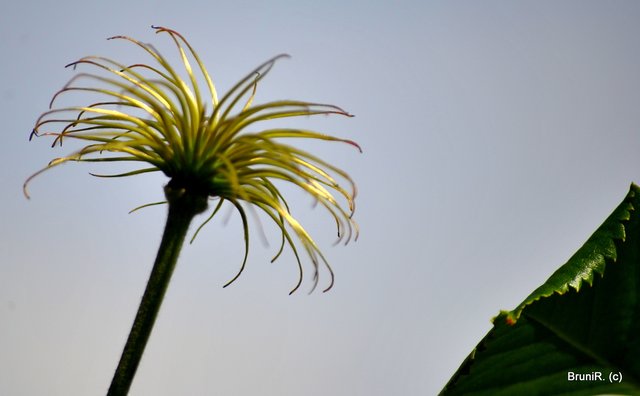 Der Sonne entgegen...