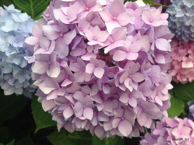 Pastellfarben... traumhaft schön!!!