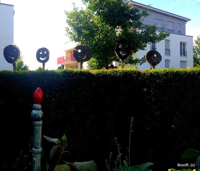 Wer schaut denn da in den tollen Garten?!?