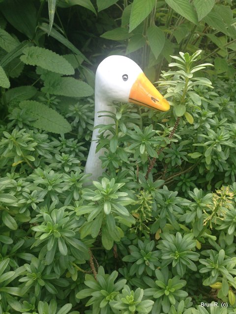 Wer guckt denn da?!?