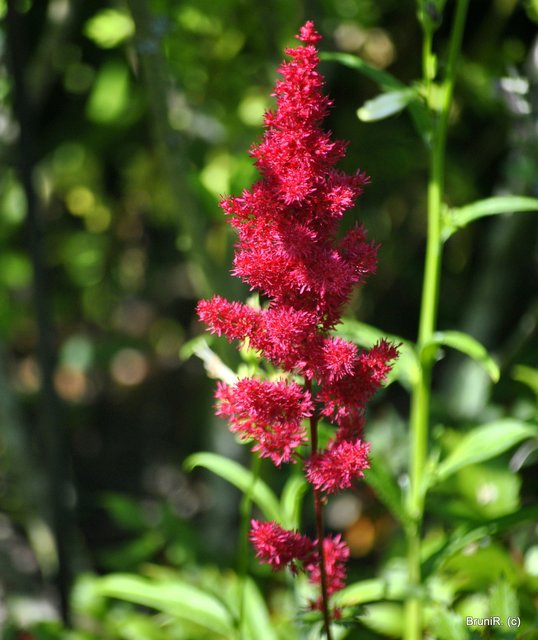 Auch schön anzusehen!