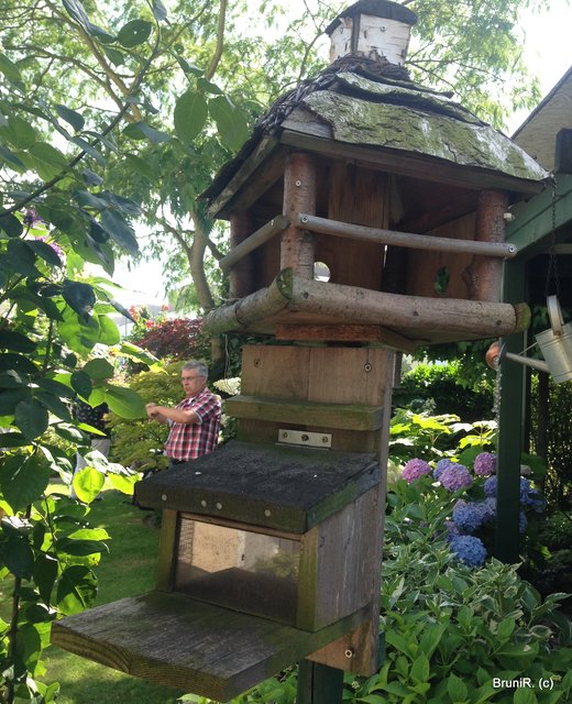 Tolles Vogelhäuschen... und dahinter... der Gastgeber!