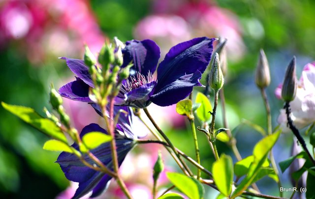 Im Vollbild etwas besser zu sehen!