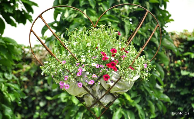 DANKE... Anja, dass du uns deinen Paradiesgarten gezeigt hast...