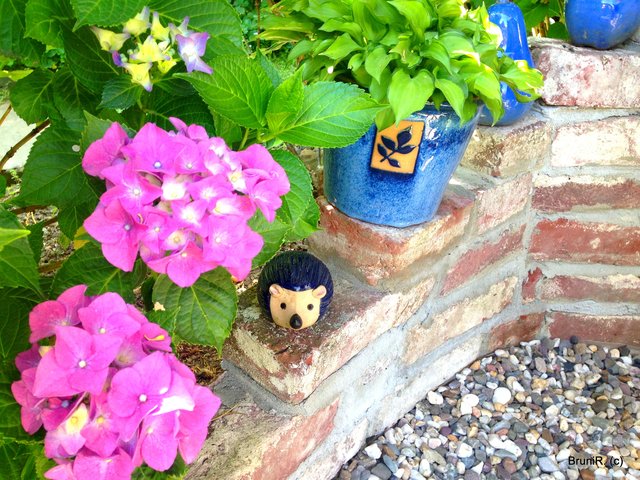 Eine wahre Augenweide...