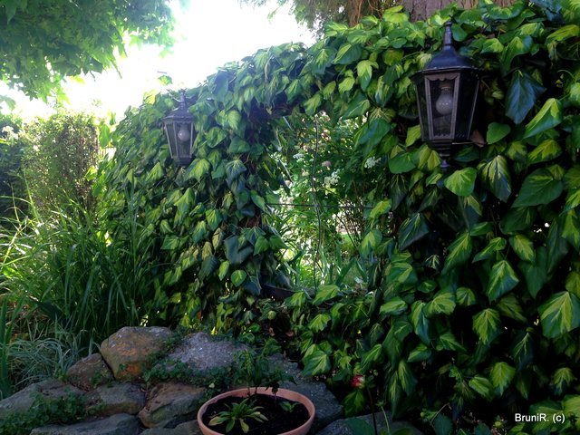 Zwischen den Laternen... hängt auch ein Spiegel!