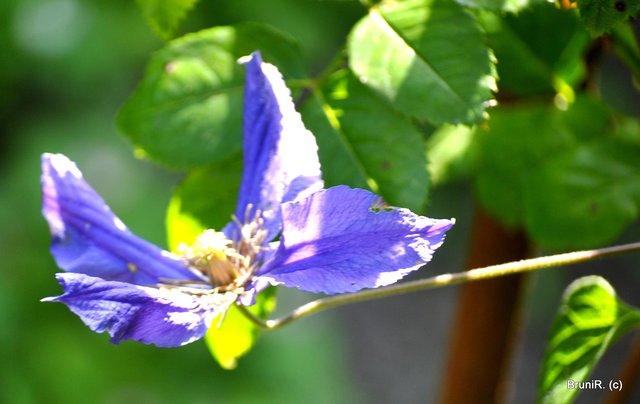 ...wie ein Schmetterling!