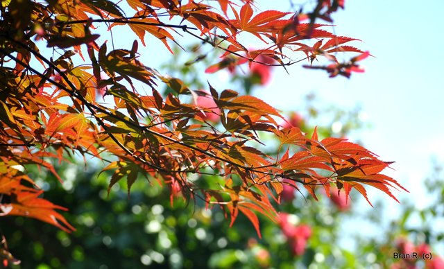 Tolle Farben überall...