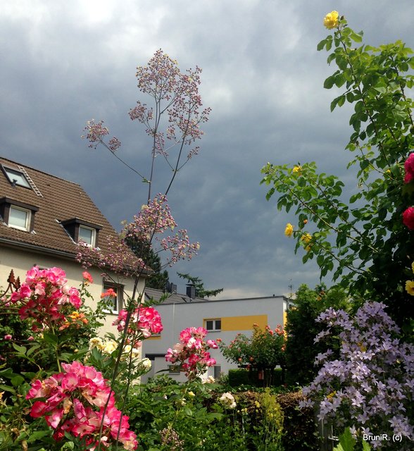 Zwischendurch sah es nicht so sonnig aus... aber zum Glück nur ganz kurz!!!