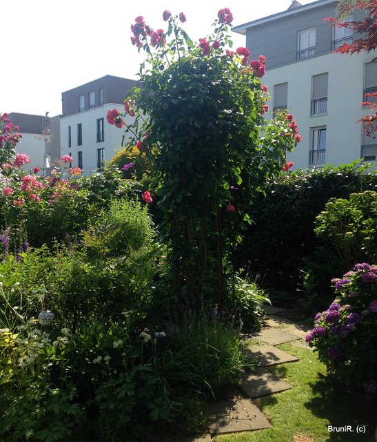 Rechter hinterer Gartenteil... Anfang Rundweg