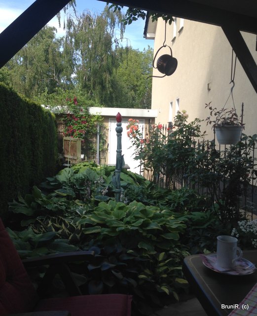 Blick zurück... Von dort sind wir gekommen!