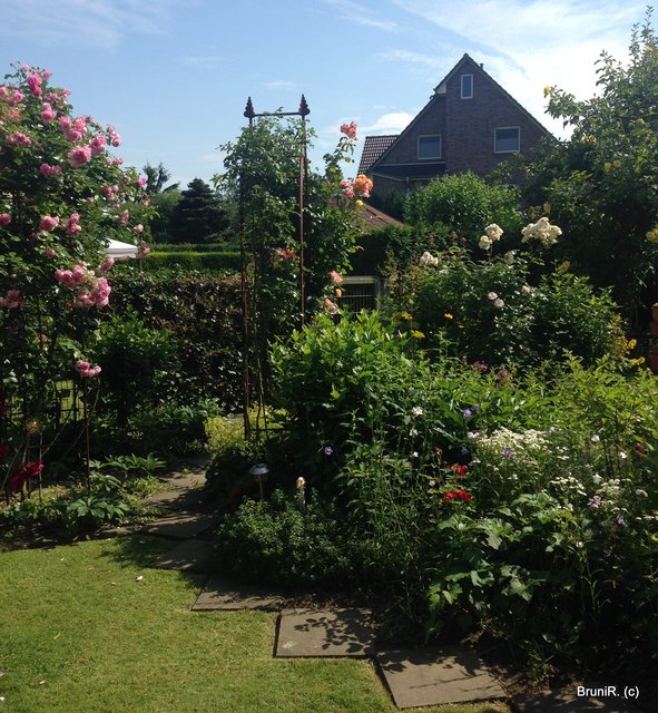 Ein Teil des hinteren Gartenteils und links der Eingang des Rosenbogendurchgangs...