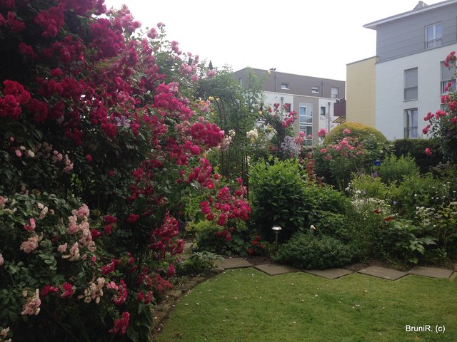 Rosendurchgang und hinterer Garten...