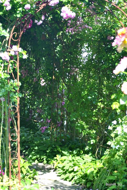 Traumhafte Gänge...