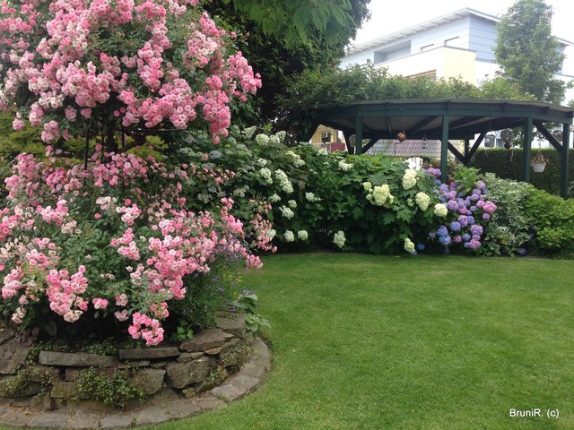 ...und hier die andere Richtung zur überdachten Sitzecke und zum Ein/Ausgang