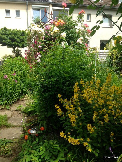 Im hinteren Teil des Gartens... anderer Blick