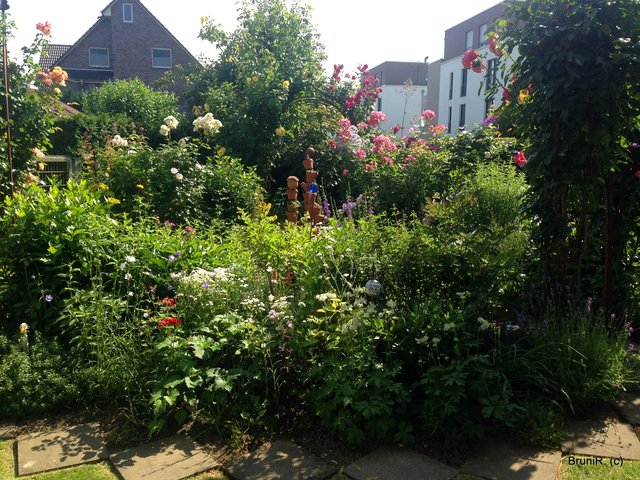 Hinterer Gartenteil!