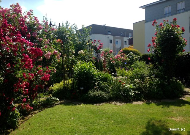 Blick in den hinteren Garten - links der Rosendurchgang
